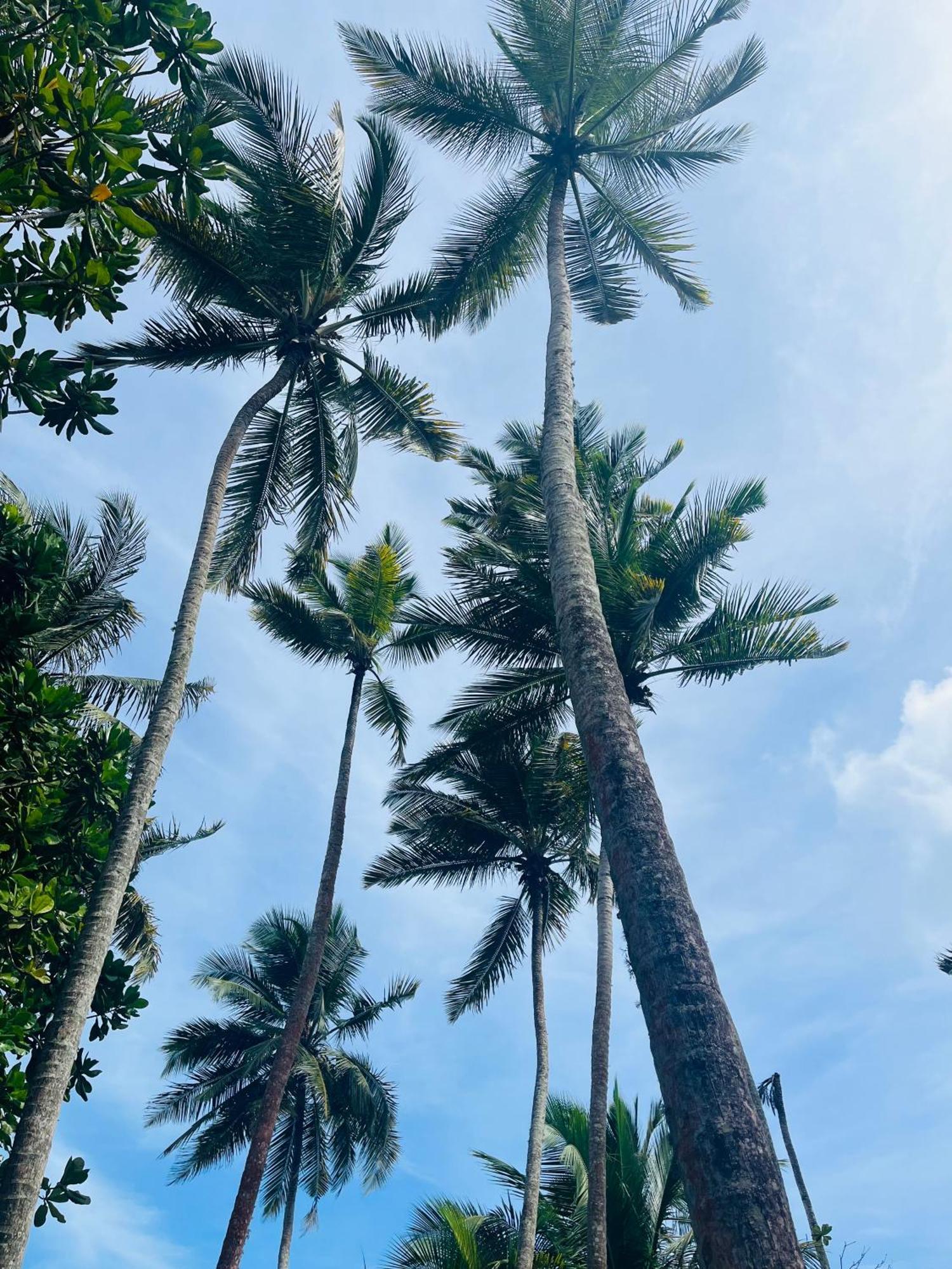 Esperanza Beach Mawella Tangalle Exterior foto